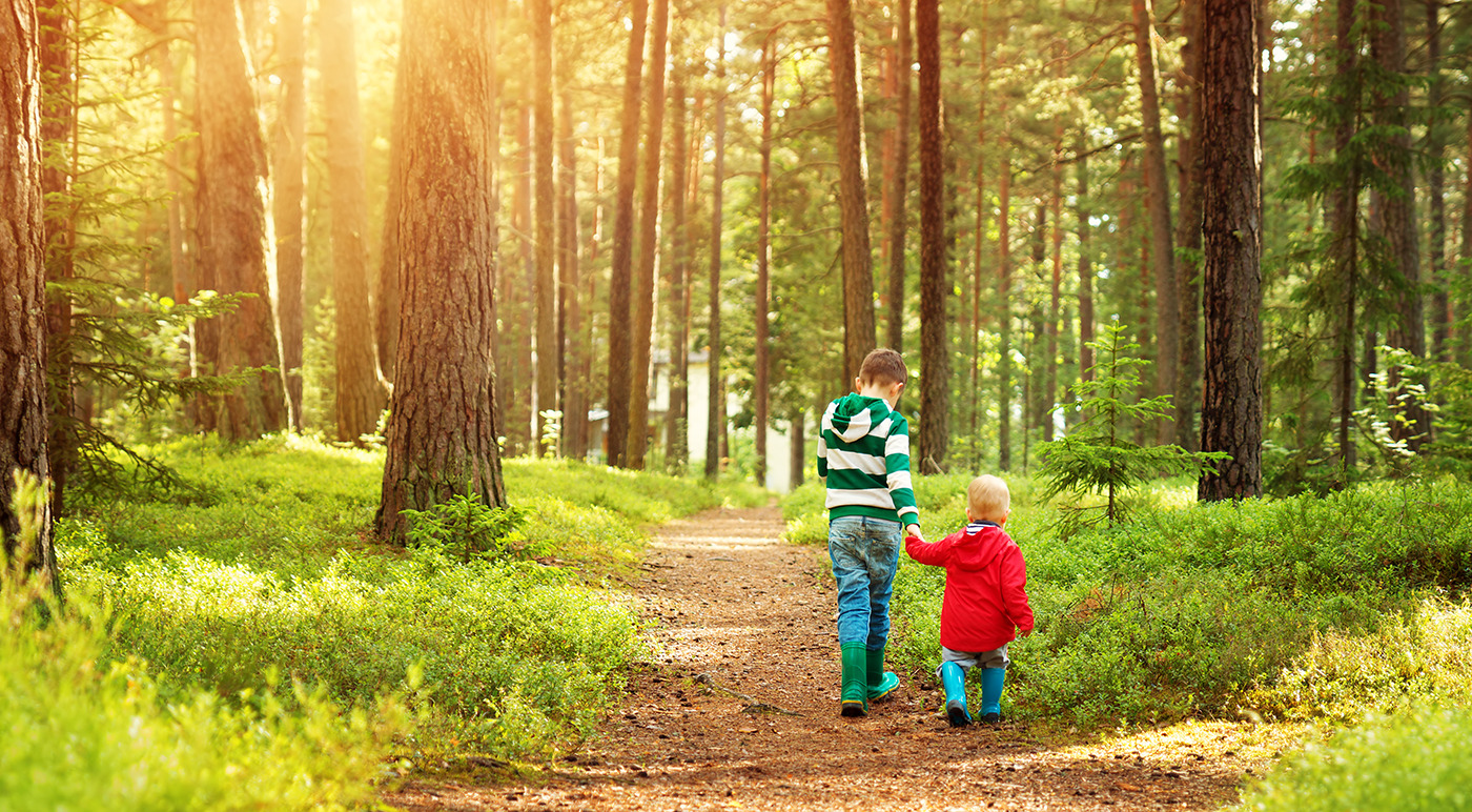 Children walking through forest